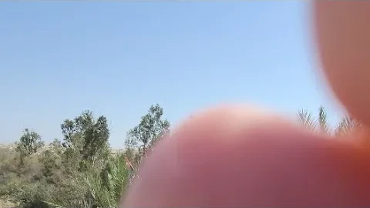 Live From The Banks Of Jordan