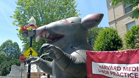 HarvardMedHurtsWorkers.otg