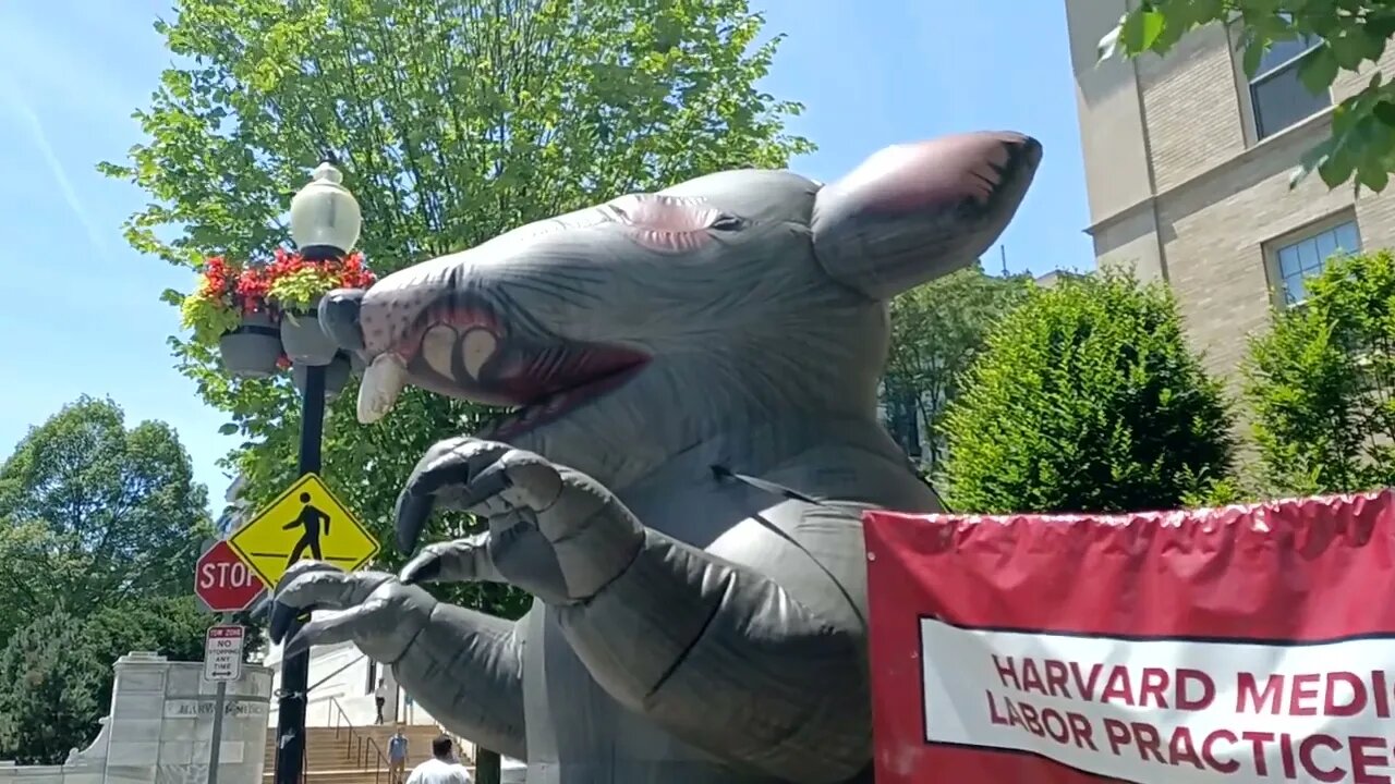 HarvardMedHurtsWorkers.otg