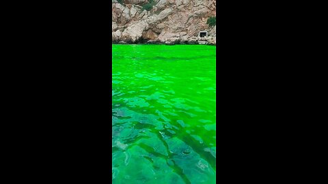 A água na costa de Balaklava ficou verde ácida: