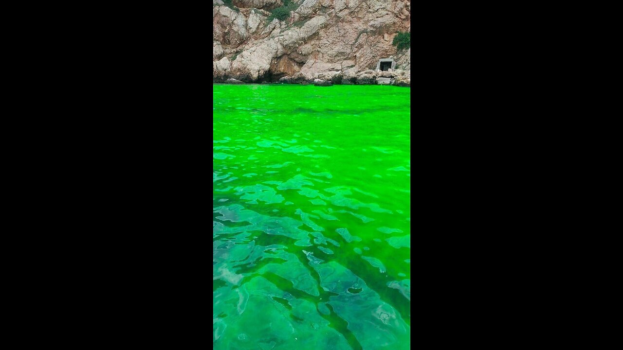 A água na costa de Balaklava ficou verde ácida: