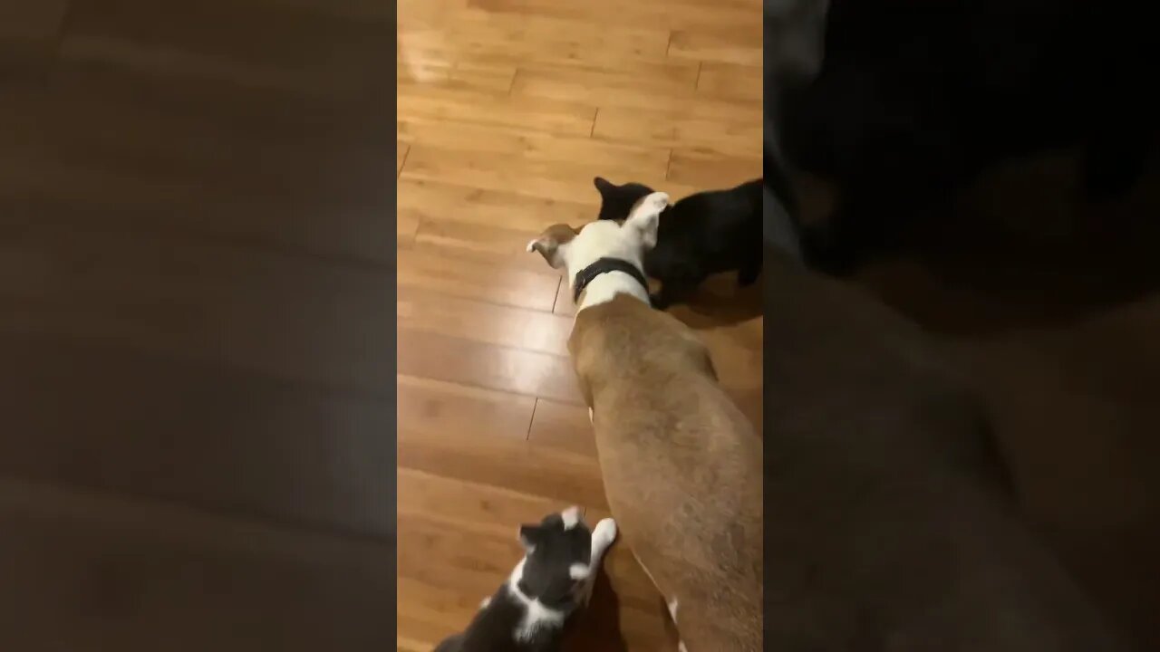 First Meeting