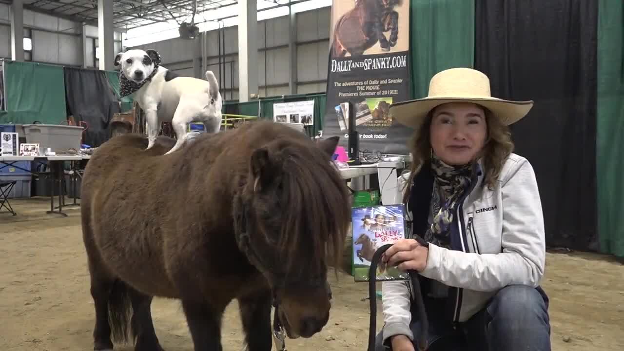 Dog and Pony show at the Idaho Horse Expo