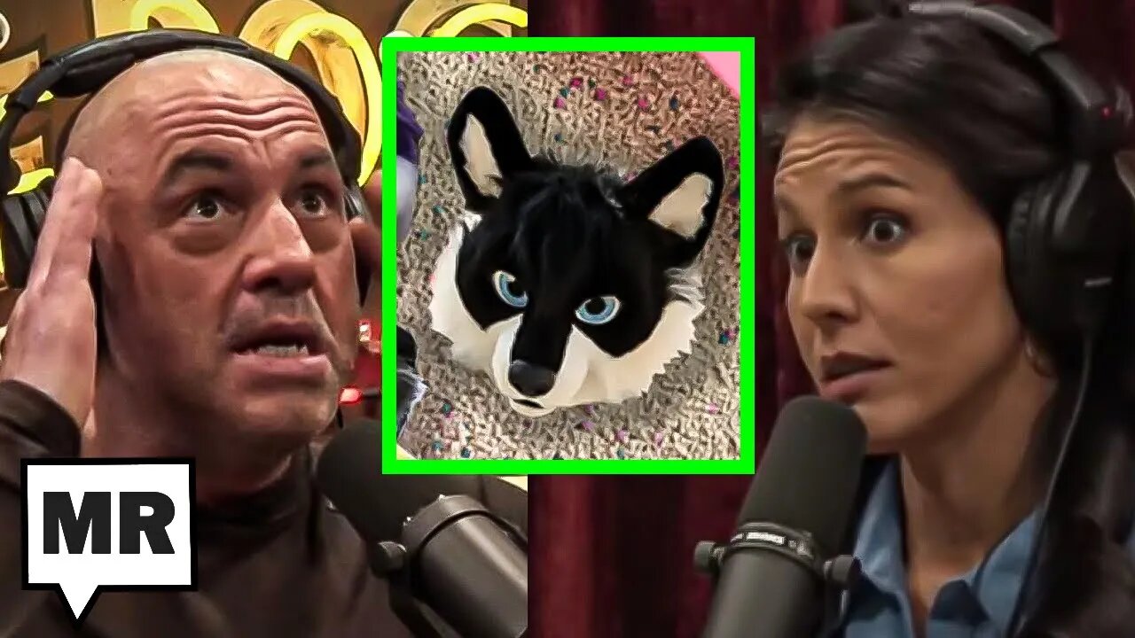 Rogan And Tulsi Push Right-Wing’s Furry Elementary School Hoax