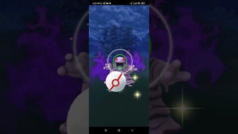 Pokémon GO-Catching Shadow Grimer