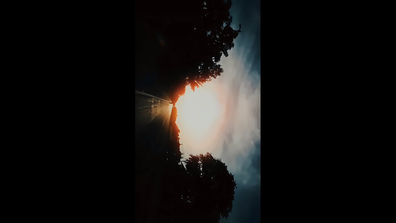 Random Shot's 🌄🌻 Cinematic