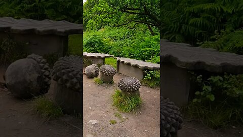 Acorn & Oak tree benches on The West Highland Way #westhighlandway