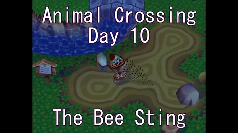 Animal Crossing: Day 10