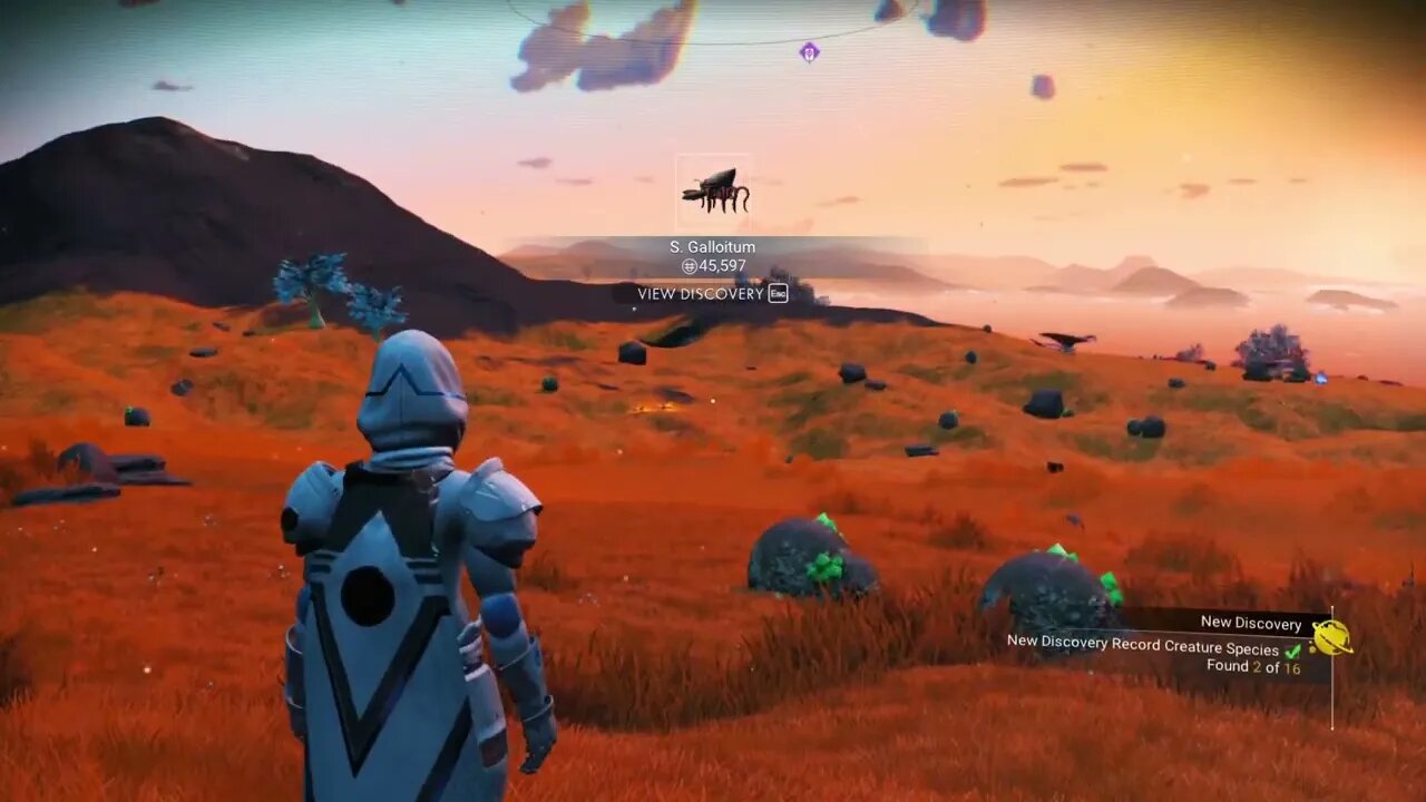 No Man's Sky - Wayaett VIII - Paradise Planet Location