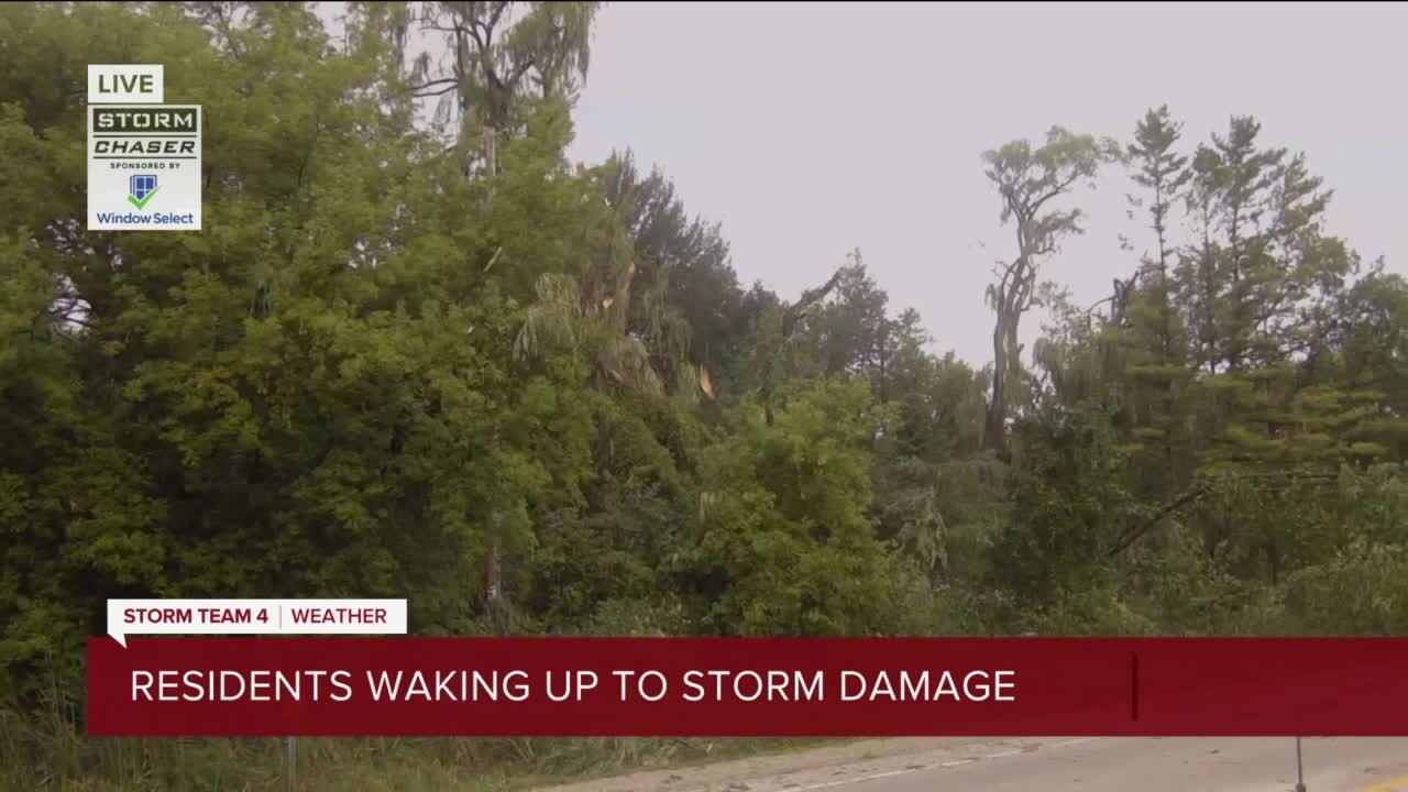 Residents wake up to tree damage in Concord