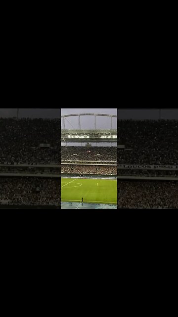 🚨🔥 O LÍDER ACORDOU! SE PREPAAAARA!!! #botafogo #brasileirão