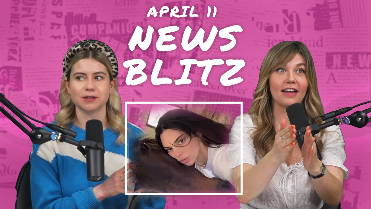 Blitz Please: let them eat bugs | Miss Understood