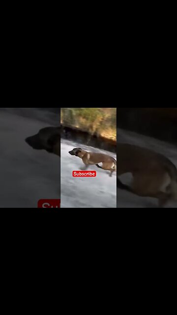 123 He Blinked. He’s Not Racing You. #racing #shorts