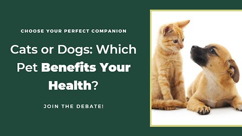 Cats vs Dogs: Which Pet Is Better for Your Health?