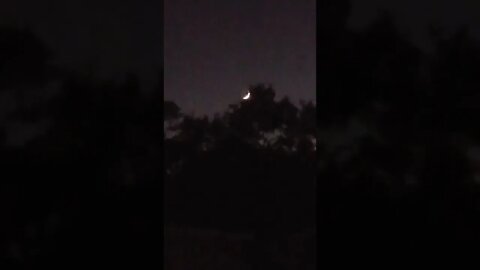 THAT MOON THOUGH