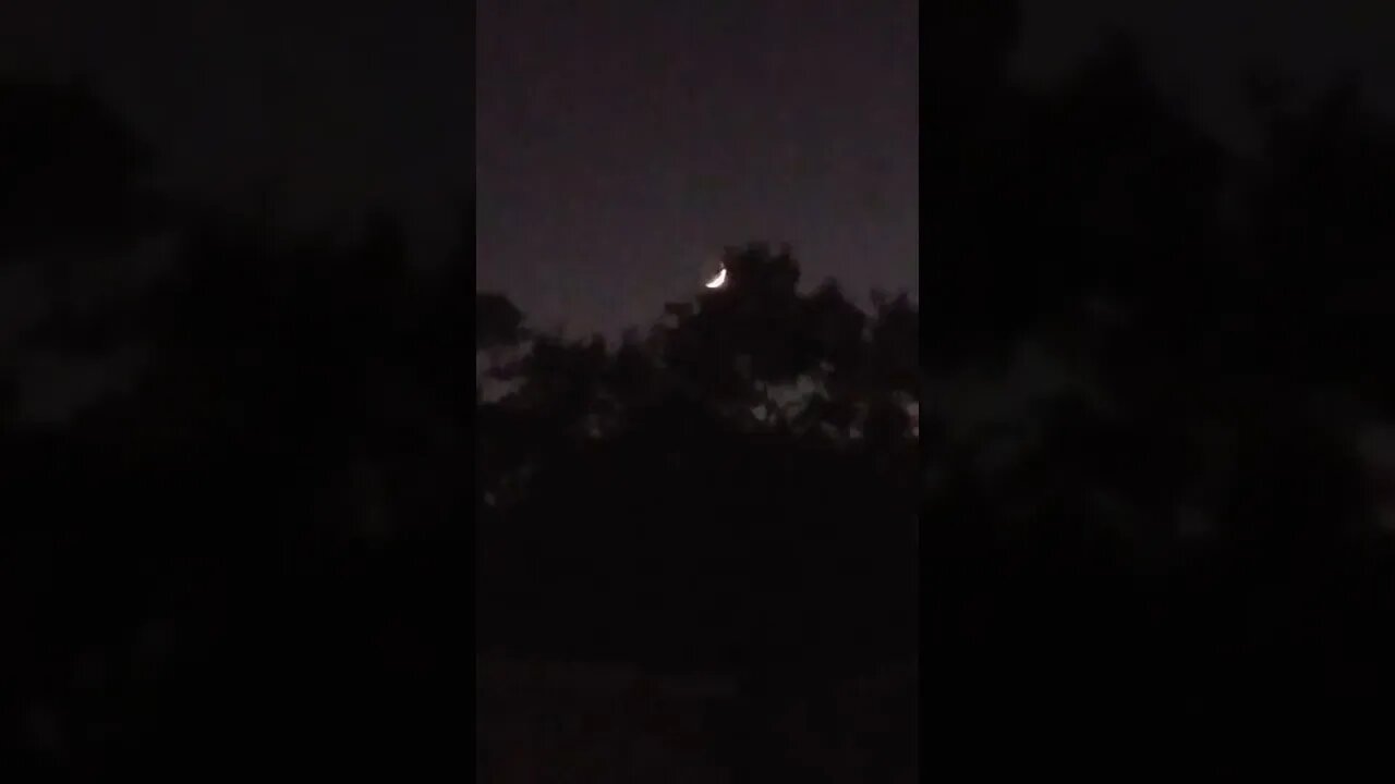 THAT MOON THOUGH