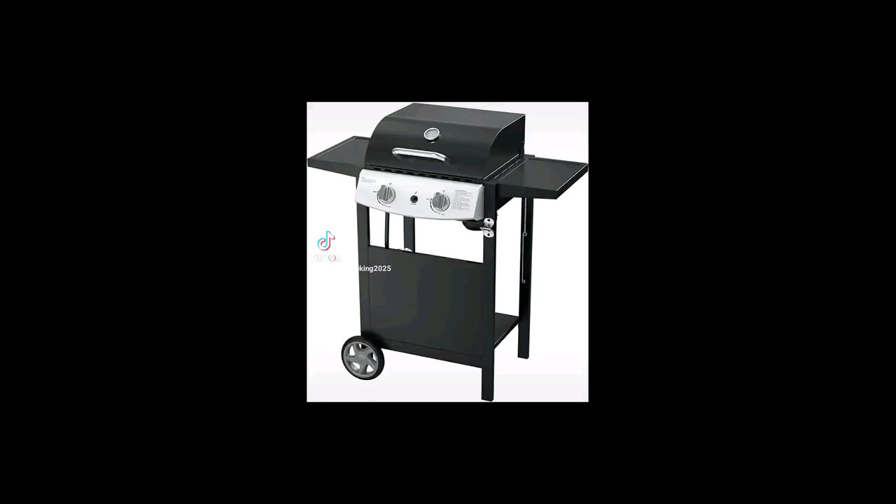 ZAFRO 2-Burner Propane Grill