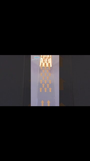 Most Amazing and trending video||relaxing your mind||trendig videos|| #shorts #trending #viral #live