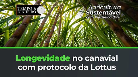 Mais produtividade e longevidade nos canaviais com Lottus BioSoluções