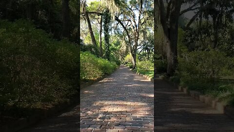 The Red Brick Road in the Golden Hour 02 #shorts