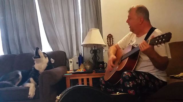 Vocal Husky Joins The Sing Along