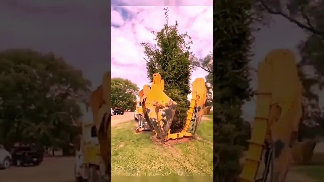 replantation machine without cutting trees