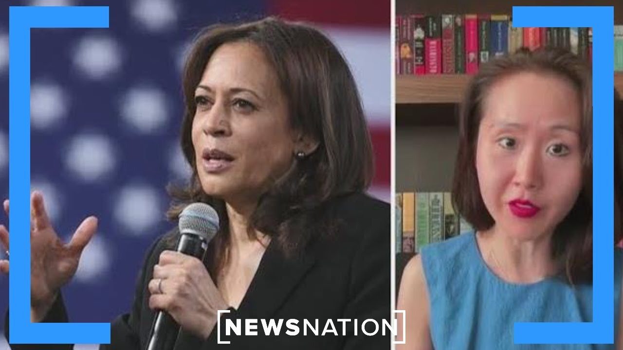 Will Kamala Harris follow Biden's 'basement' campaign strategy after DNC? | The Hill