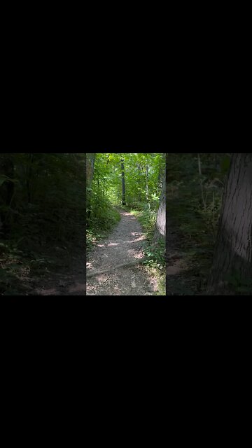 Life walking the trails #outdoors