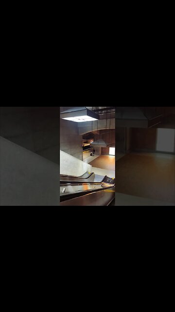 Cathédrale-like Bonaventure Metro #montreal #traintravel #viralvideo