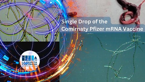 Microscopic View Of A Single Drop of the Comirnaty Pfizer mRNA Vaccine - La Quinta Columna