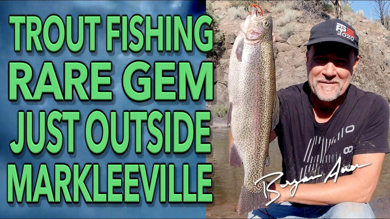 Best Trout Fishing In The World (IMO)