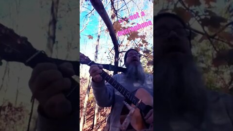 Amazing - acoustic microphone