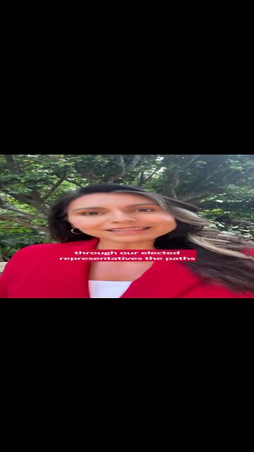 Tulsi Gabbard: We Can't Allow Social Media To Stop Our Free Speech
