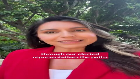 Tulsi Gabbard: We Can't Allow Social Media To Stop Our Free Speech