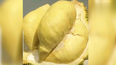 "Dog in Disguise: When Man’s Best Friend Masquerades as a Durian"