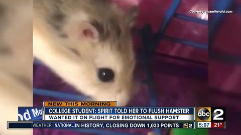 Student who flushed hamster at BWI airport may sue