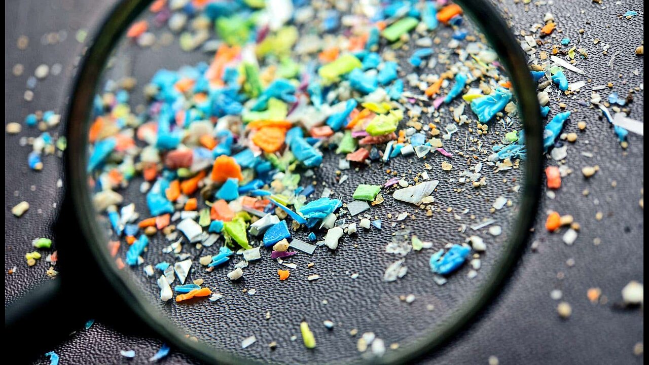 The Microplastic Problem Disrupts our Hormones