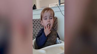 Adorable Little Boy Falls Asleep While Eating