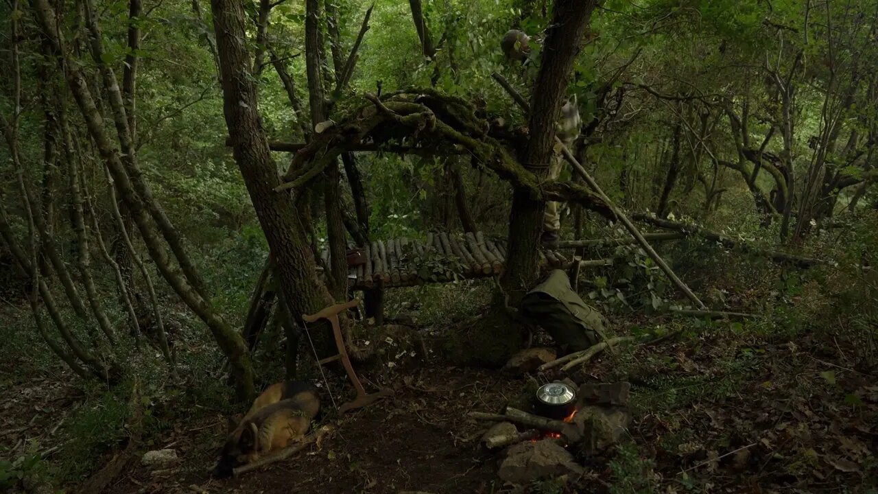 How to Build the best jungle Shelter:12