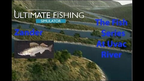 Ultimate Fishing Simulator: The Fish - Uvac River - Zander - [00036]