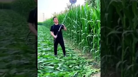 Agriculture Technology, tmsPlus