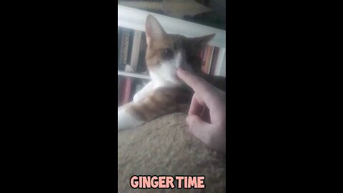 Ginger Time