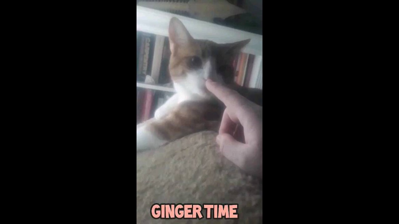 Ginger Time