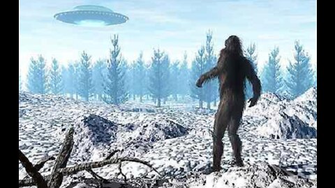 Aliens and Cryptids the Unknown Monsters That Live in the Dark