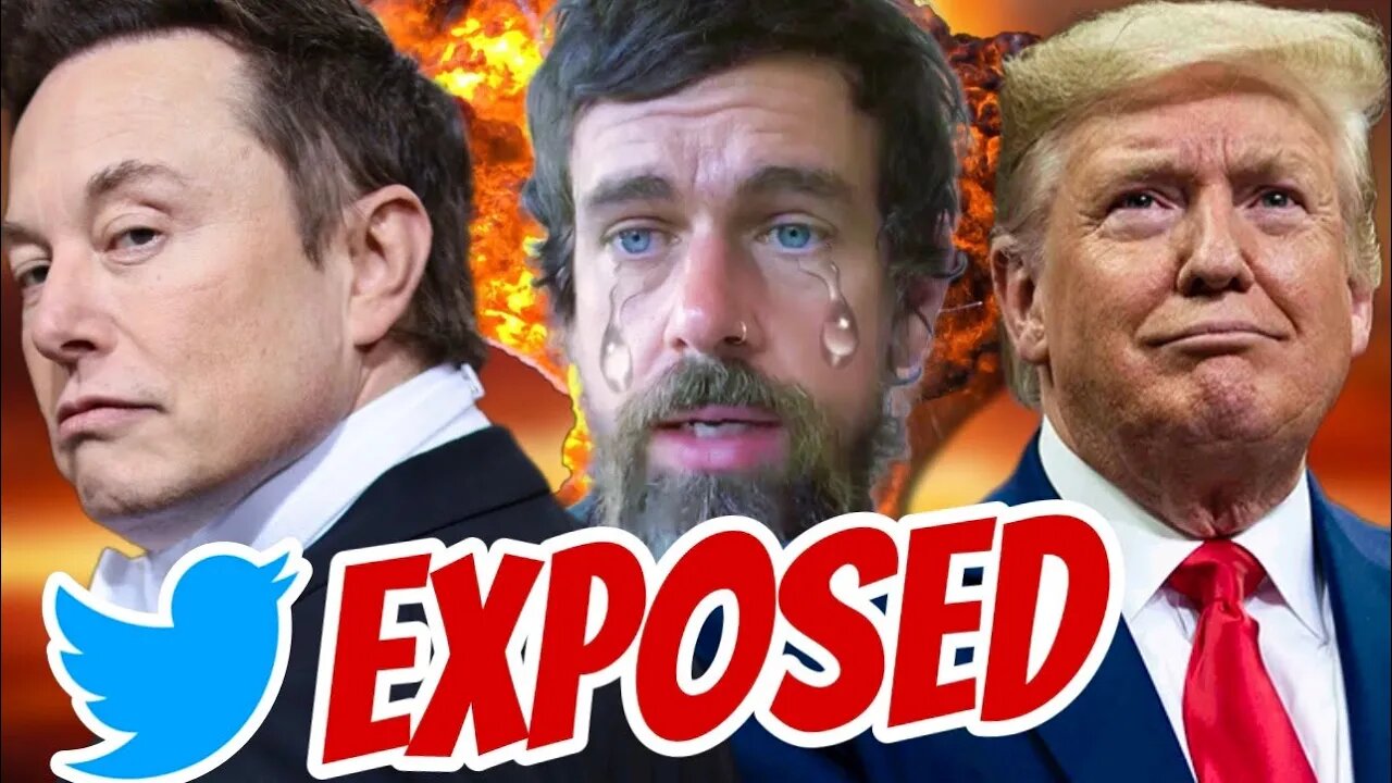 Elon Musk SMOKING GUN - Twitter LIED To Justify Banning President Trump