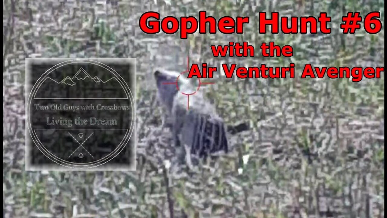 Gopher Hunt #6