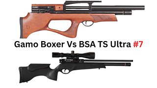 BSA TS Ultra Vs Gamo Boxer