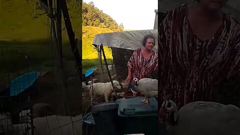 Farm Cam. 19 February 2023