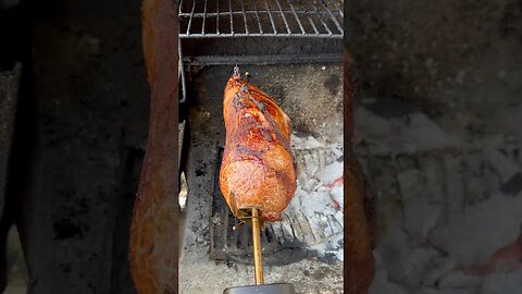 It’s 5 o’clock somewhere time for a BBQ and a cold beer 🍻 #bbq #beer