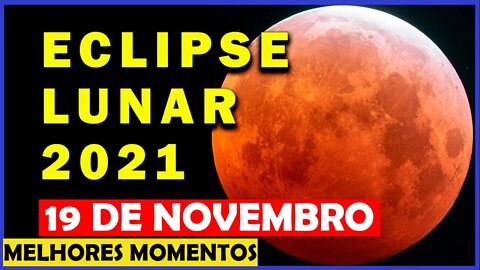 COMO FOI O ECLIPSE LUNAR DE 19 DE NOVEMBRO? LUA DE SANGUE, VEJA IMAGENS DOS MELHORES MOMENTOS!